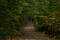 TylerPark.HorseTrail_2284