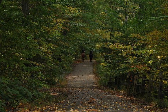 TylerPark.HorseTrail_2284