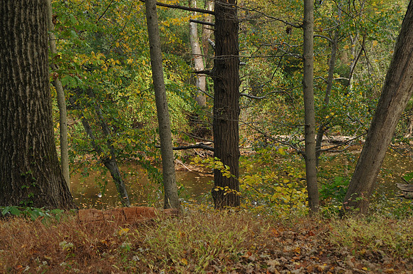 Tyler.Park.NeshaminyCreek._2269