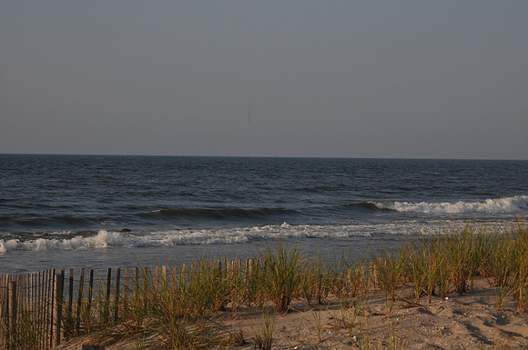 DSC_9304