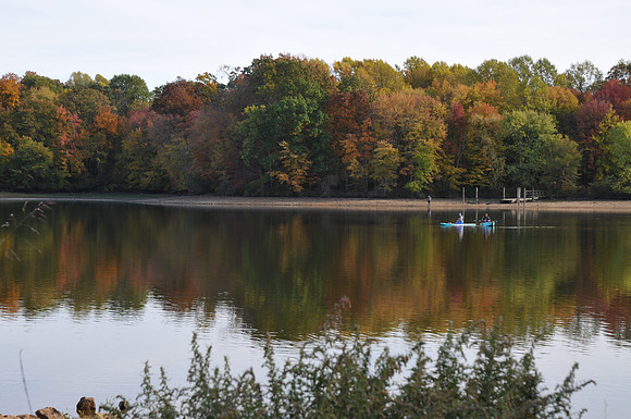 DSC_2677