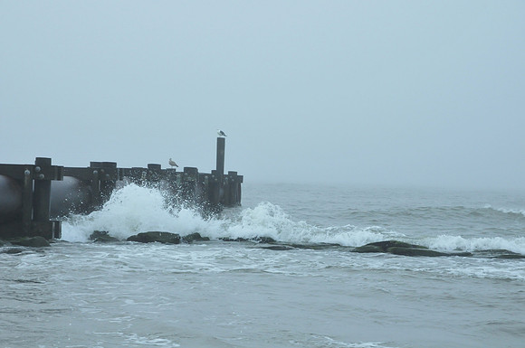 DSC_8965